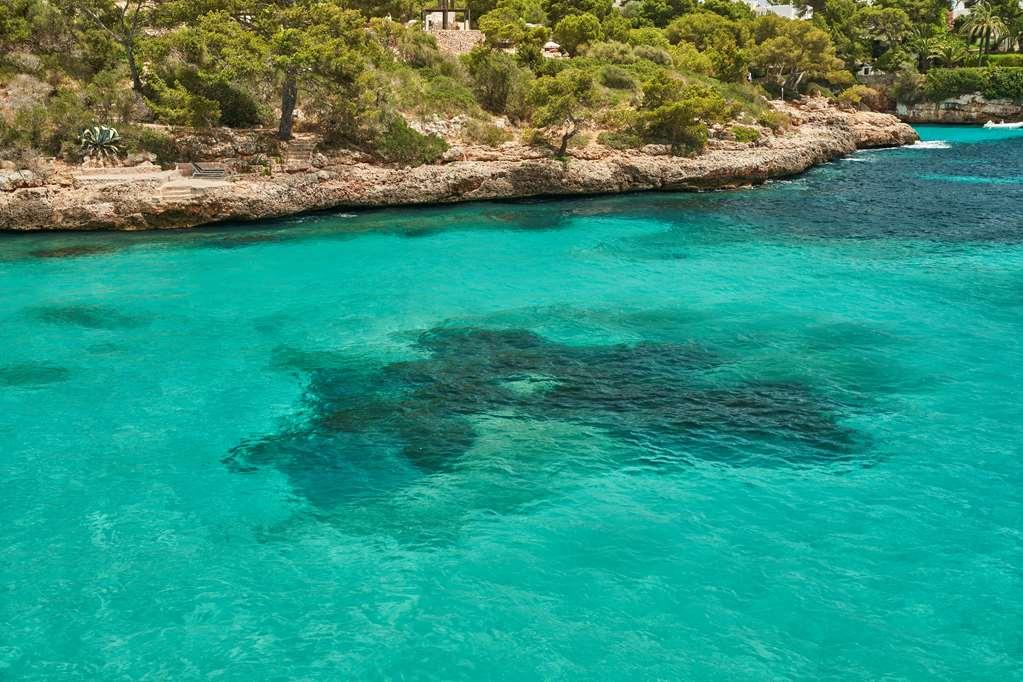 巴瑟罗波南特海滩酒店 Cala D´Or 自然 照片